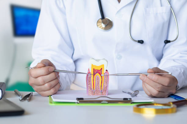 Best Emergency Tooth Extraction in Warrenton, VA